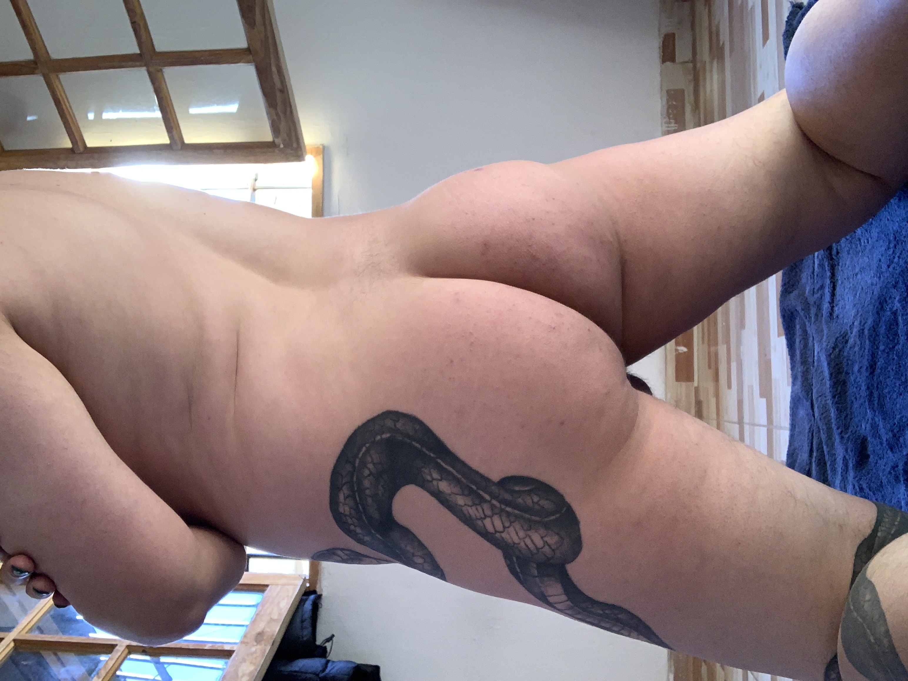 Luciano Snake Portfolio